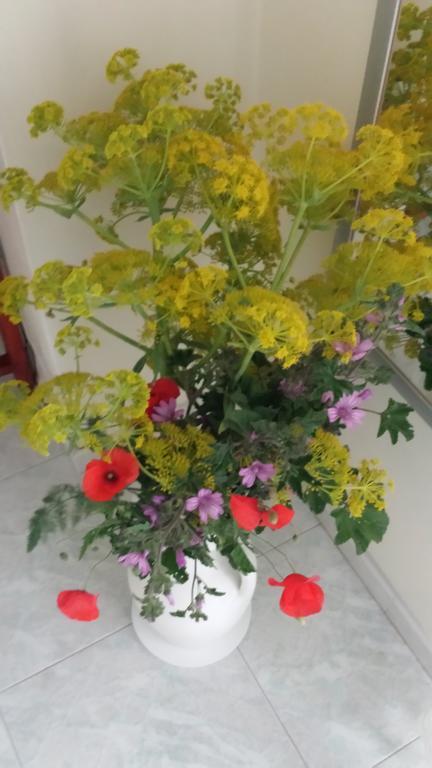 Porta Matera B&B 알타무라 외부 사진